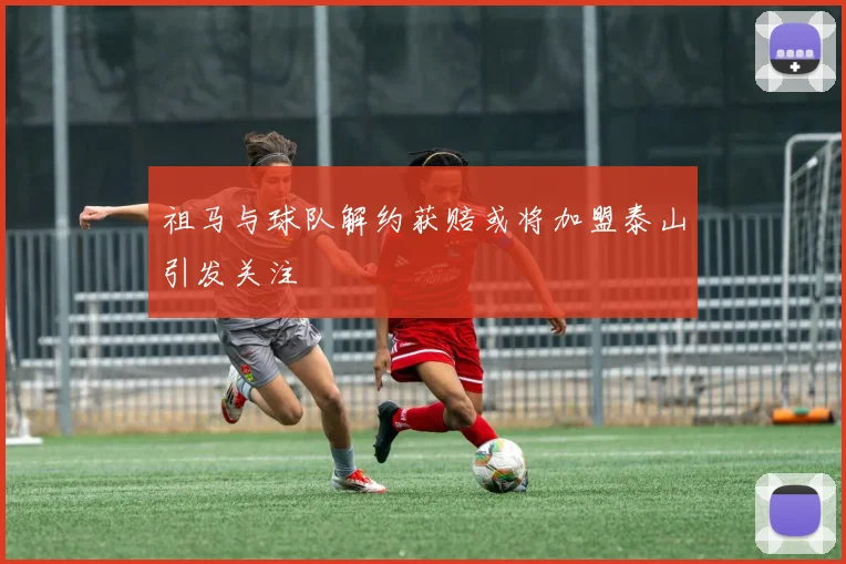 祖马与球队解约获赔或将加盟泰山引发关注