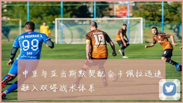 申京与亚当斯默契配合卡佩拉迅速融入双塔战术体系