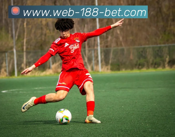 多媒体互动体验